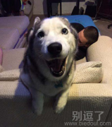 女主人，今晚要不我们俩凑合凑合！