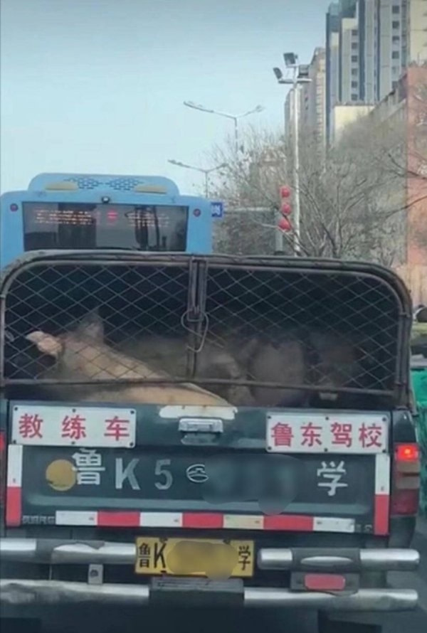 轻松一刻：年少不知软饭香，错把青春倒插秧！