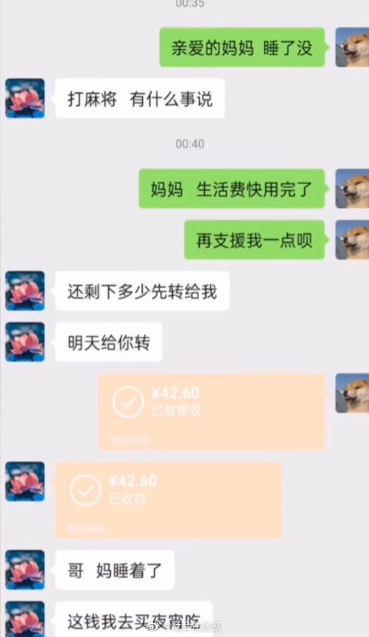 轻松一刻：年少不知软饭香，错把青春倒插秧！