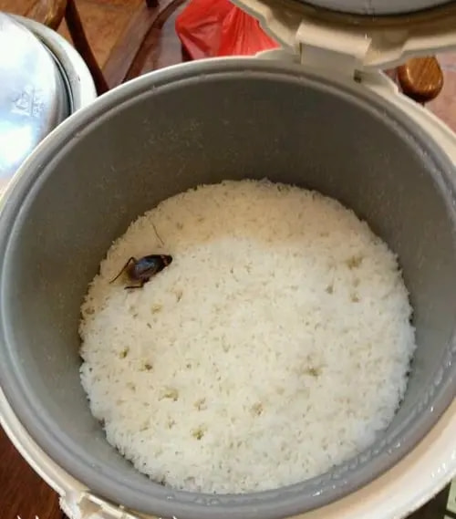 轻松一刻:年少不知软饭香,错把青春倒插秧! 轻松一刻:年少不知软饭香,错把青春倒插秧!