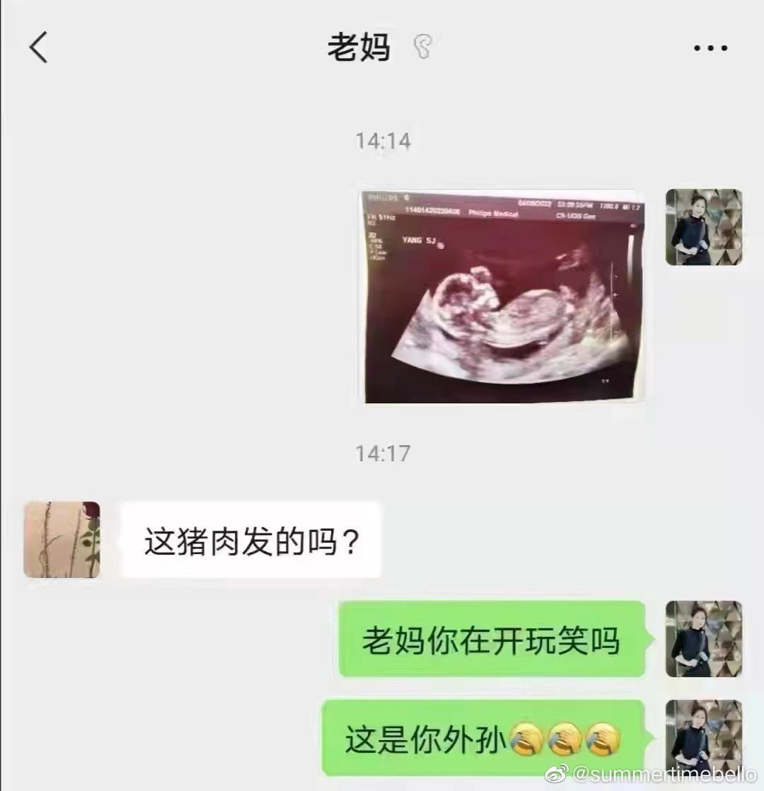 轻松一刻：年少不知软饭香，错把青春倒插秧！