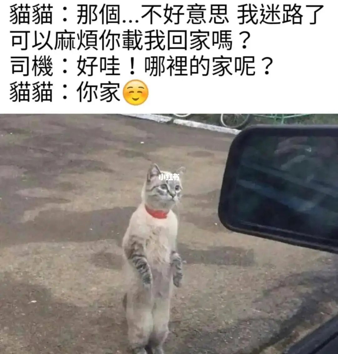 轻松一刻:年少不知软饭香,错把青春倒插秧! 轻松一刻:年少不知软饭香,错把青春倒插秧!