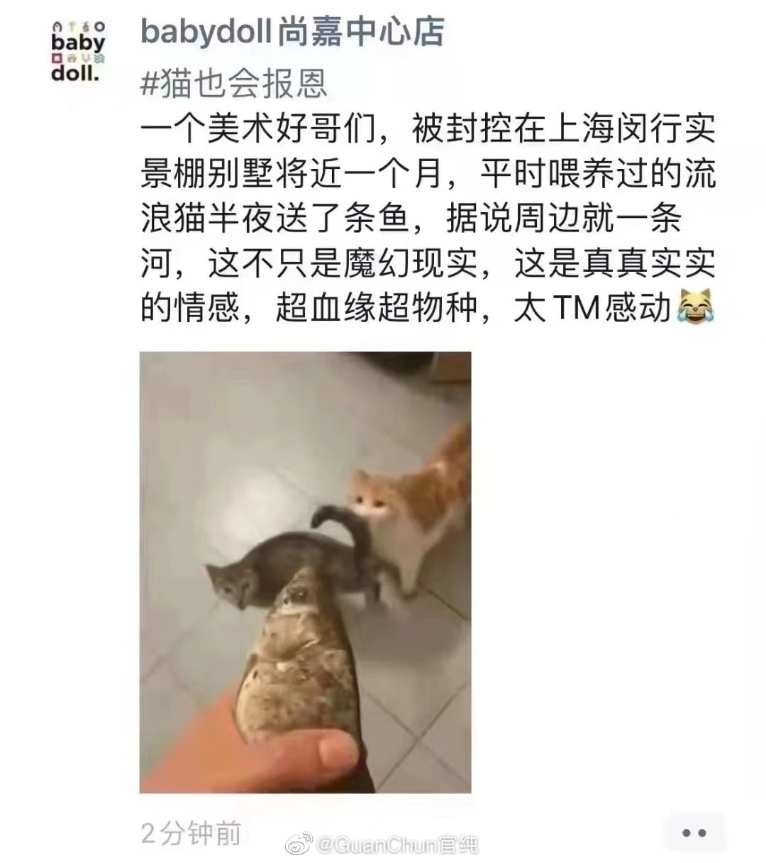 轻松一刻:年少不知软饭香,错把青春倒插秧! 轻松一刻:年少不知软饭香,错把青春倒插秧!