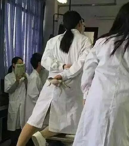 学医妹 子真威武