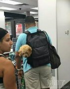 我以为你带二哈来逛街了