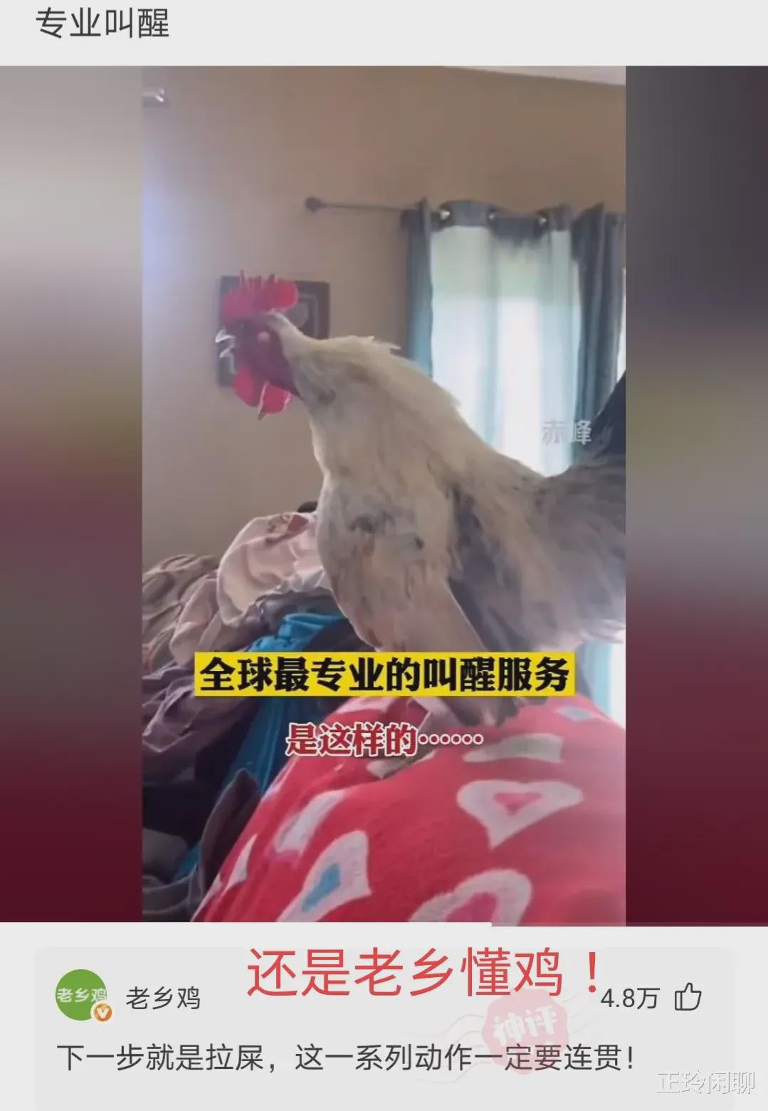 神回复:裸睡时发生过什么尴尬的事?确实太尴尬了,要笑死啊 神回复:裸睡时发生过什么尴尬的事?确实太尴尬了,要笑死啊