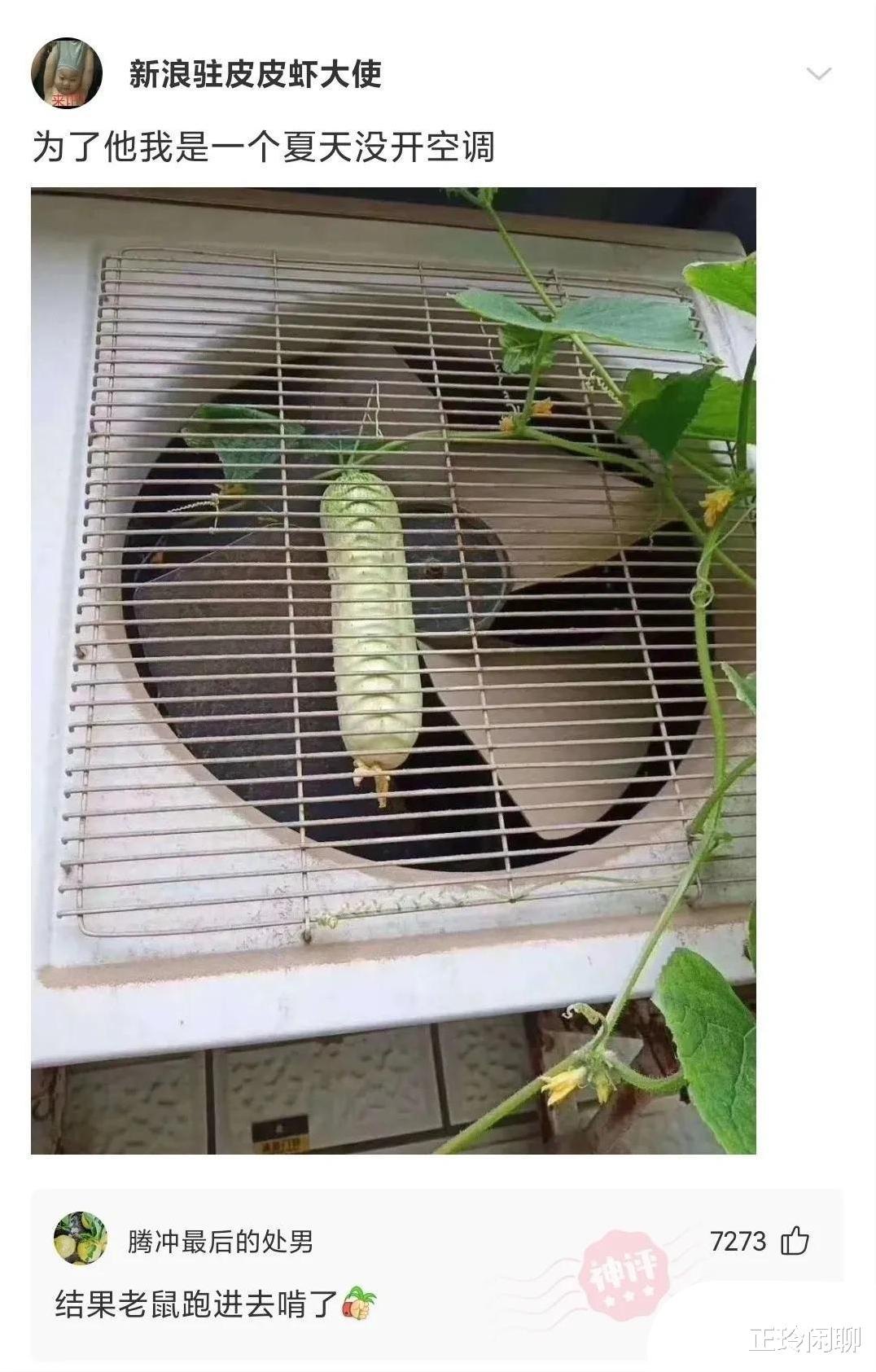 神回复:裸睡时发生过什么尴尬的事?确实太尴尬了,要笑死啊 神回复:裸睡时发生过什么尴尬的事?确实太尴尬了,要笑死啊