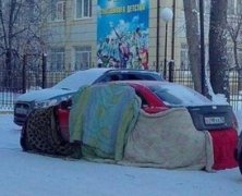 天冷了 给我的小情人盖上加点衣服