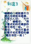 蝴蝶和小猪的故事。