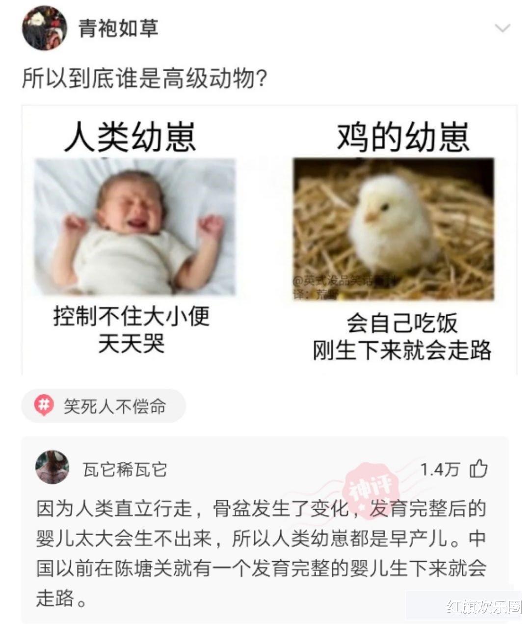 “新来的电工，已经站着一个多小时了，他怎么了？”一看就是新手！