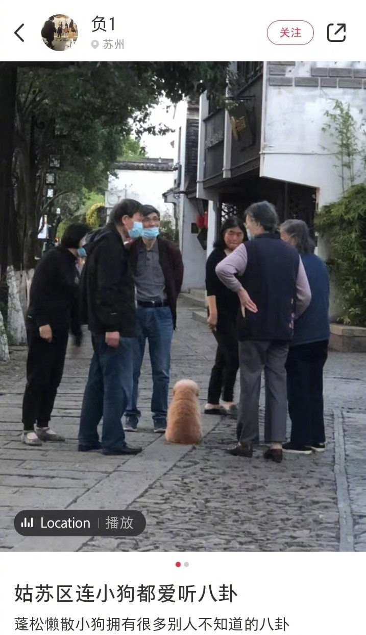 轻松一刻：人不努力就会像他们一样，1根薯条2人抢