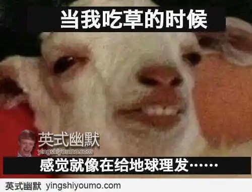 轻松一刻:人不努力就会像他们一样,1根薯条2人抢 轻松一刻:人不努力就会像他们一样,1根薯条2人抢