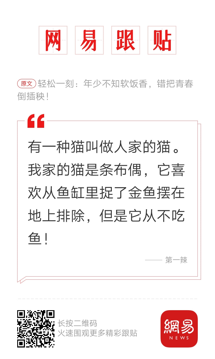 轻松一刻：人不努力就会像他们一样，1根薯条2人抢