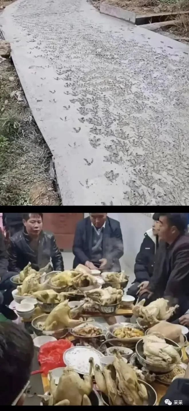 轻松一刻:人不努力就会像他们一样,1根薯条2人抢 轻松一刻:人不努力就会像他们一样,1根薯条2人抢