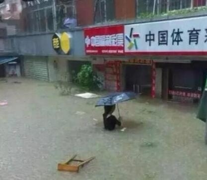 轻松一刻:人不努力就会像他们一样,1根薯条2人抢 轻松一刻:人不努力就会像他们一样,1根薯条2人抢