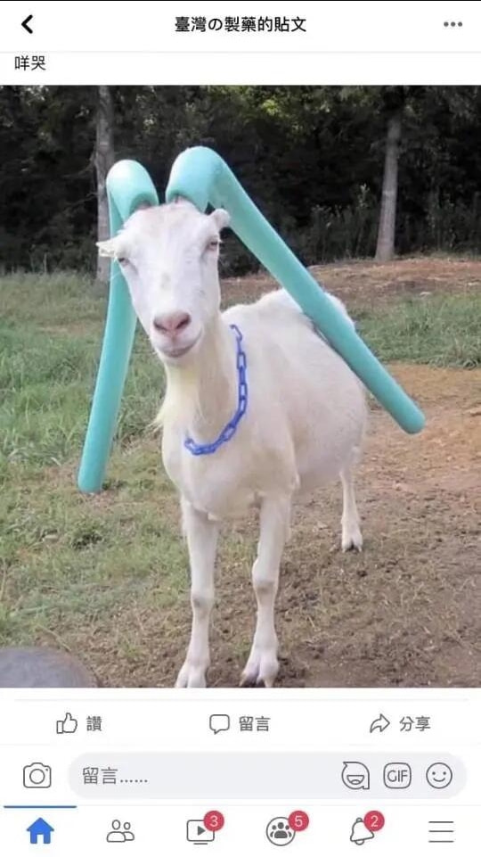 轻松一刻:人不努力就会像他们一样,1根薯条2人抢 轻松一刻:人不努力就会像他们一样,1根薯条2人抢