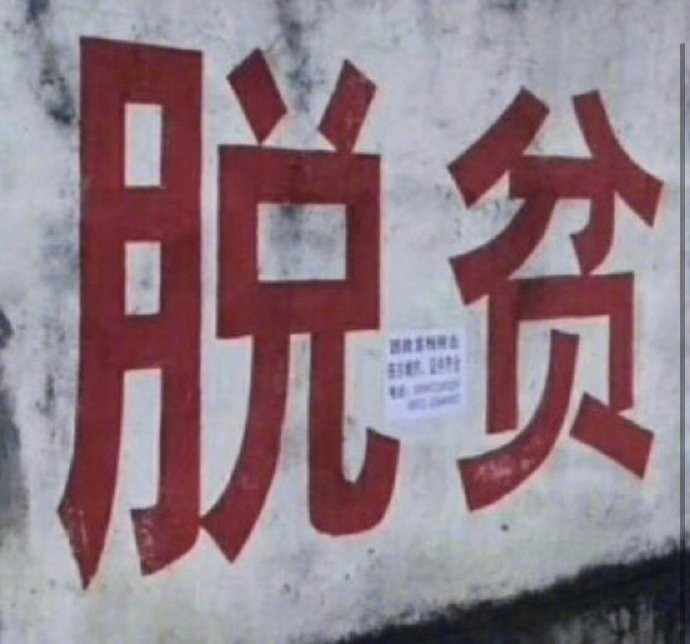 轻松一刻:人不努力就会像他们一样,1根薯条2人抢 轻松一刻:人不努力就会像他们一样,1根薯条2人抢