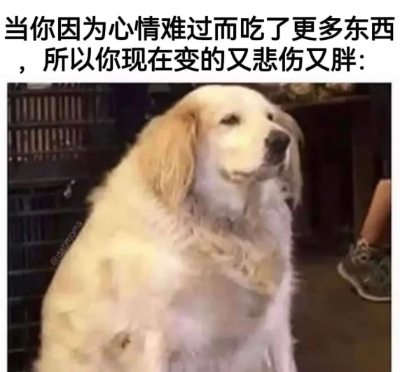 轻松一刻:人不努力就会像他们一样,1根薯条2人抢 轻松一刻:人不努力就会像他们一样,1根薯条2人抢