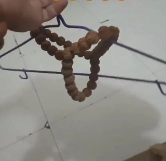 轻松一刻:人不努力就会像他们一样,1根薯条2人抢 轻松一刻:人不努力就会像他们一样,1根薯条2人抢