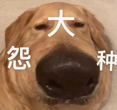 轻松一刻:人不努力就会像他们一样,1根薯条2人抢 轻松一刻:人不努力就会像他们一样,1根薯条2人抢