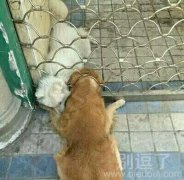 网恋是没有好结果的 网恋是没有好结果的