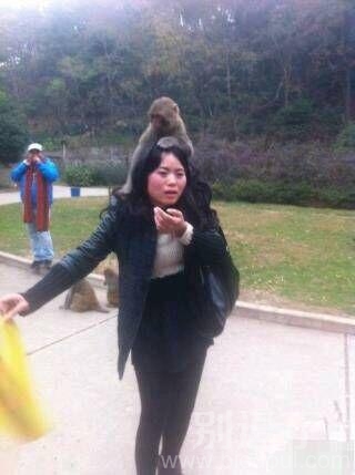 悟空别闹,这妖精让为师来处理! 悟空别闹,这妖精让为师来处理!