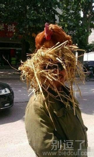 又一波雷人搞笑囧图 又一波雷人搞笑囧图