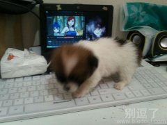 您喝醉了吗？！那不是我吗？！