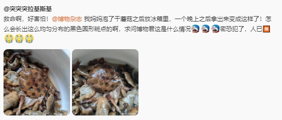 轻松一刻:万万没想到,鸡蛋在创投圈变成了硬通货 轻松一刻:万万没想到,鸡蛋在创投圈变成了硬通货