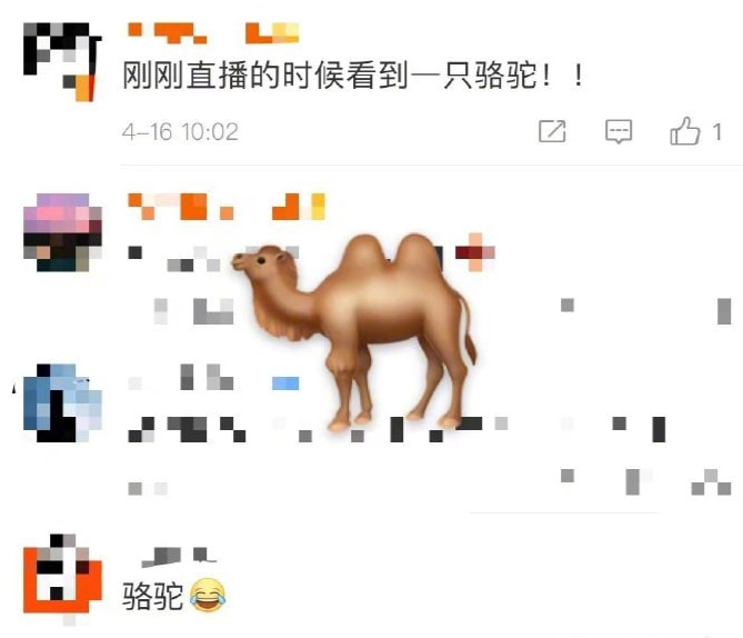 轻松一刻:万万没想到,鸡蛋在创投圈变成了硬通货 轻松一刻:万万没想到,鸡蛋在创投圈变成了硬通货