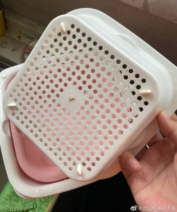 轻松一刻:万万没想到,鸡蛋在创投圈变成了硬通货 轻松一刻:万万没想到,鸡蛋在创投圈变成了硬通货