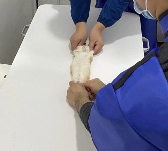 轻松一刻:万万没想到,鸡蛋在创投圈变成了硬通货 轻松一刻:万万没想到,鸡蛋在创投圈变成了硬通货