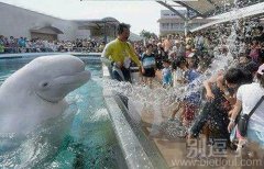 这么热的天，集体冲个凉可好