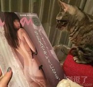我家每一只宠物都必须要学习的知识