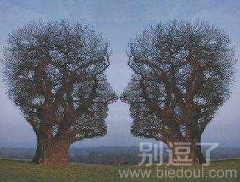 艺术:对视,你瞅啥 艺术:对视,你瞅啥