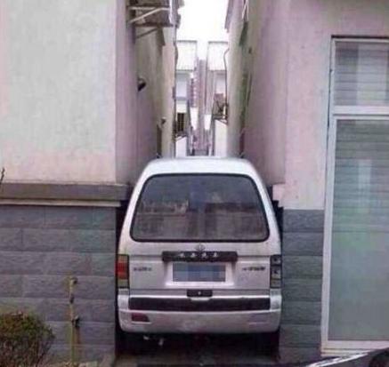 真是夹缝中求生存呀