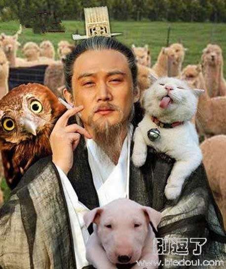 诸葛亮原来是个宠物控 诸葛亮原来是个宠物控