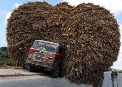 不超宽吧 不超宽吧