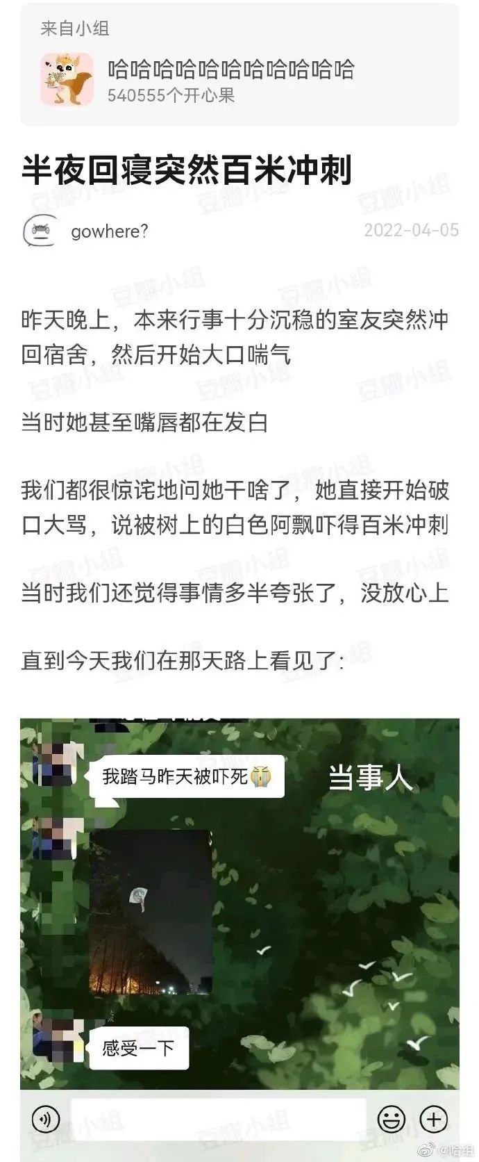 大侠后宫：相亲聊天翻车现场，哈哈哈年轻人的聊天方式，果然出乎意料