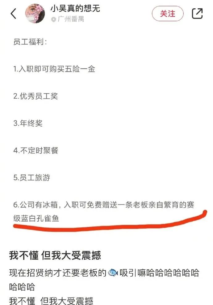 大侠后宫:相亲聊天翻车现场,哈哈哈年轻人的聊天方式,果然出乎意料 大侠后宫:相亲聊天翻车现场,哈哈哈年轻人的聊天方式,果然出乎意料