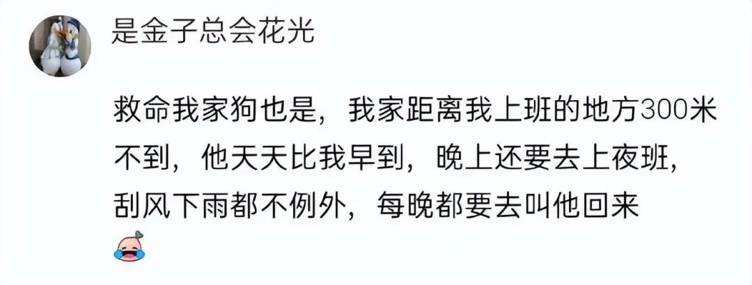 大侠后宫:相亲聊天翻车现场,哈哈哈年轻人的聊天方式,果然出乎意料 大侠后宫:相亲聊天翻车现场,哈哈哈年轻人的聊天方式,果然出乎意料