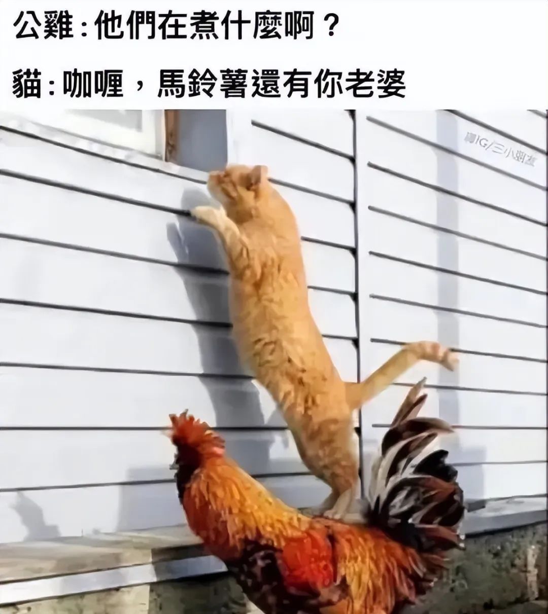 大侠后宫:相亲聊天翻车现场,哈哈哈年轻人的聊天方式,果然出乎意料 大侠后宫:相亲聊天翻车现场,哈哈哈年轻人的聊天方式,果然出乎意料