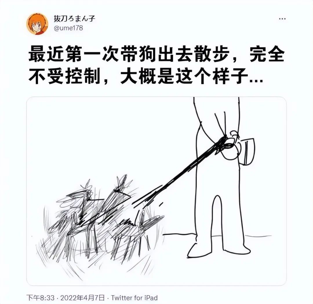 大侠后宫:相亲聊天翻车现场,哈哈哈年轻人的聊天方式,果然出乎意料 大侠后宫:相亲聊天翻车现场,哈哈哈年轻人的聊天方式,果然出乎意料