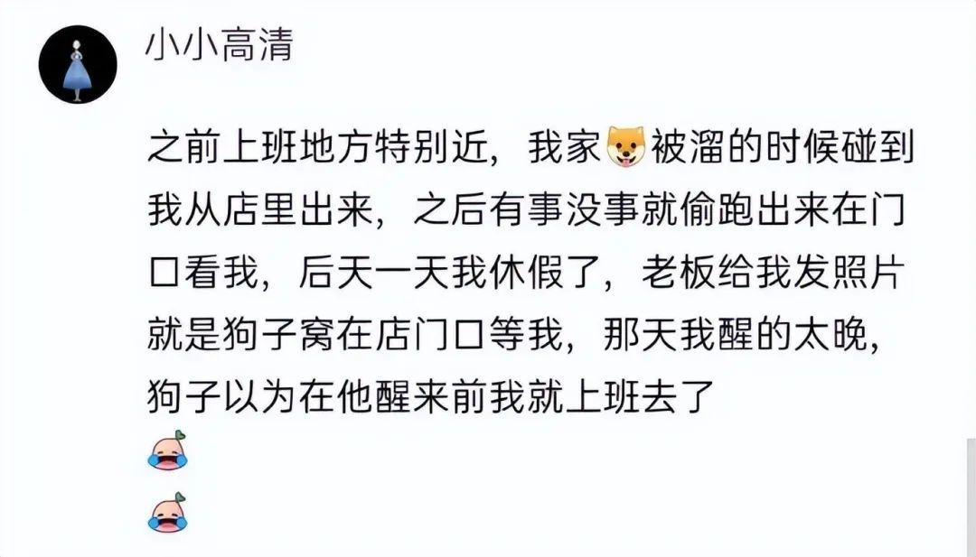 大侠后宫:相亲聊天翻车现场,哈哈哈年轻人的聊天方式,果然出乎意料 大侠后宫:相亲聊天翻车现场,哈哈哈年轻人的聊天方式,果然出乎意料