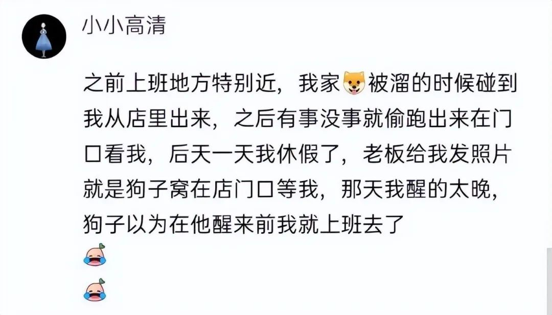 大侠后宫：相亲聊天翻车现场，哈哈哈年轻人的聊天方式，果然出乎意料