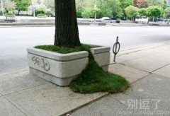 绿草出墙--绿色满池关不住