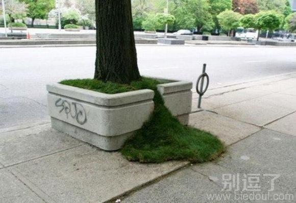 绿草出墙--绿色满池关不住
