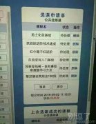这选修太有用处了