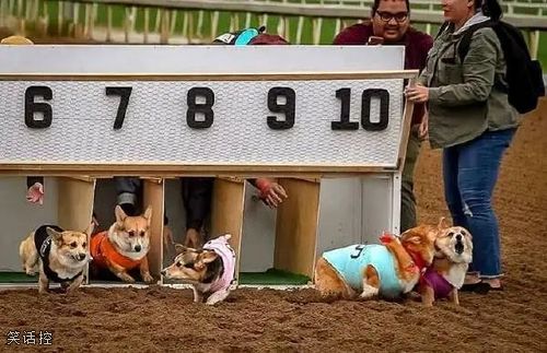 把对手击败在起跑线上 把对手击败在起跑线上