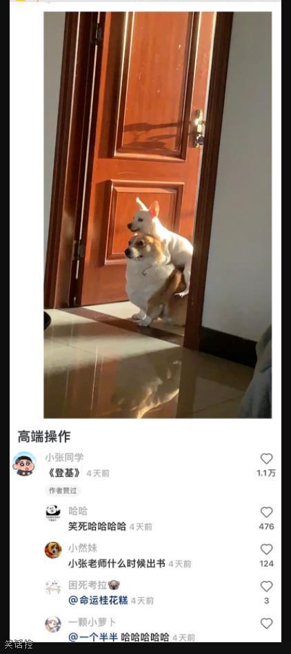 好一个登基